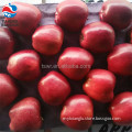 /msite/products/detail/productid/59941861/id/542998.html